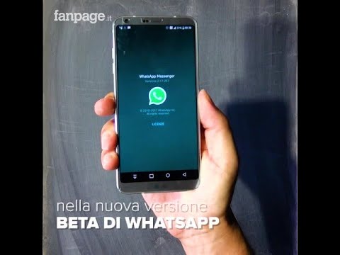 Proteggi la tua privacy durante le videochiamate su WhatsApp con il filtro di sicurezza